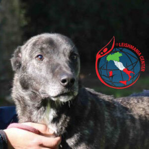 LORIS (LEISHMANIA CENTER)