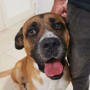 ELEUTERIO (LEISHMANIA CENTER)